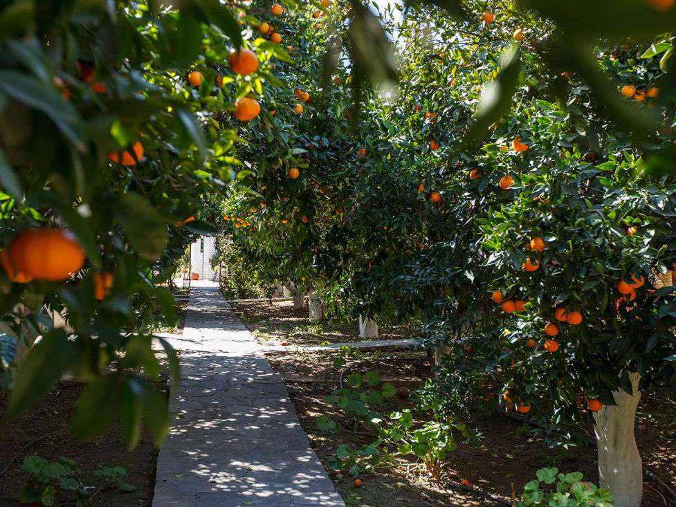 Cotton Club Villas Tolo Greece Photos