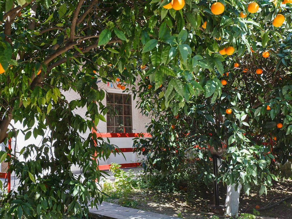 Cotton Club Villas Tolo Greece Photos