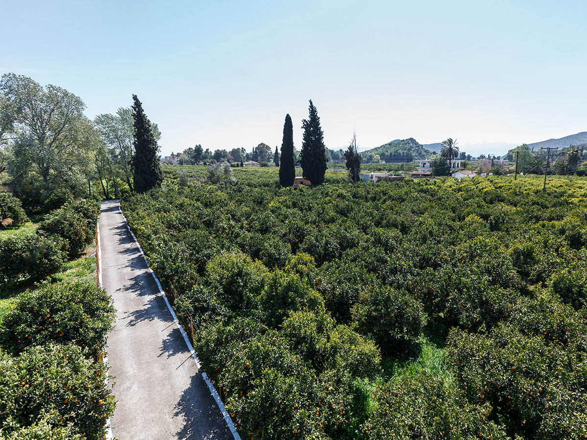 Cotton Club Villas Tolo Greece Photos